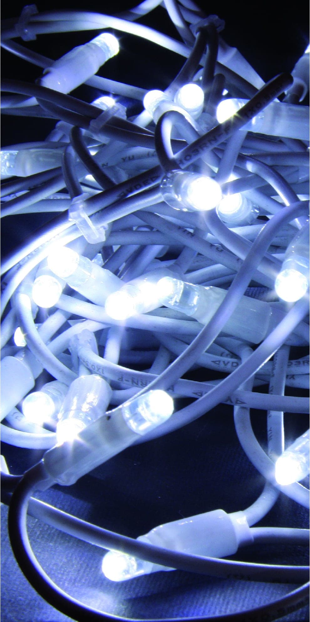 GIOCOPLAST NATALE SP - GCP14322381 PROL. 100 LUC. LED BIANCHE L.FISSA 10M C