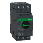 SCHNEIDER ELECTRIC - SNRGV3L50 Interruttore automatico magnetico GV3L - 50 A - EVERLINK