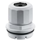 GEWISS - GEWDX47509 RAC.PRESSACAVO TX/QX X CAVI 9-12