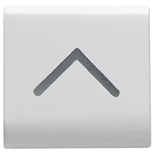GEWISS - GEWGW10545 TASTO INTERCAMB. FRECCIA VERT. BIANCO