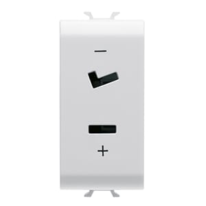 GEWISS - GEWGW10452 PRESA SELV - 2P 6A 24V POLARIZZATA - 1 MODULO - BIANCO LUCIDO - CHORUSMART