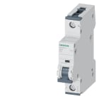 SIEMENS - SIE5SY61117 INT. MT 1P C5 ICN 6KA UL1077