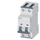 SIEMENS - SIE5SY62106 INT MT 2P B10 ICN 6KA ICU 15KA