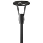 PERFORMANCE IN LIGHT - PRI3104735 HEDO+ FT 15 SR/075 740 AN96