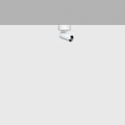 IGUZZINI ILLUMINAZI - IGZ3.QC35.704.0 PALCO D=19 1X PLAFONE 2700K CRI90 MEDIUM
