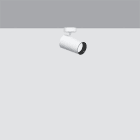 IGUZZINI ILLUMINAZI - IGZ3.QC48.701.0 PALCO D=51 1X PLAFONE 3000K CRI90 SPOT C