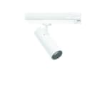 LINEA LIGHT (ILED) - ILD81625N60 POUND-1 8 1L 15WAC CRI92 BAL+AL BG