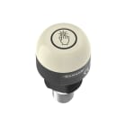 TURCK BANNER SRL - TUK30806860 Indicatore K30, Cool Bianco;Blu