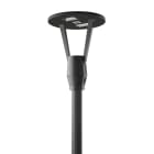 PERFORMANCE IN LIGHT - PRI3116031 HEDO+ FT 27 C/EW 730 AN96 ZHU