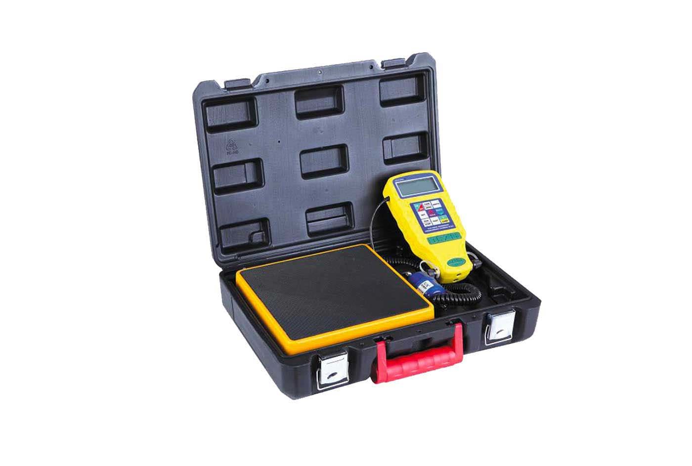 TECNOSYSTEMI SPA SOC - TNS11131111 BILANCIA PROGRAMMABILE ELETTRONICA CON E