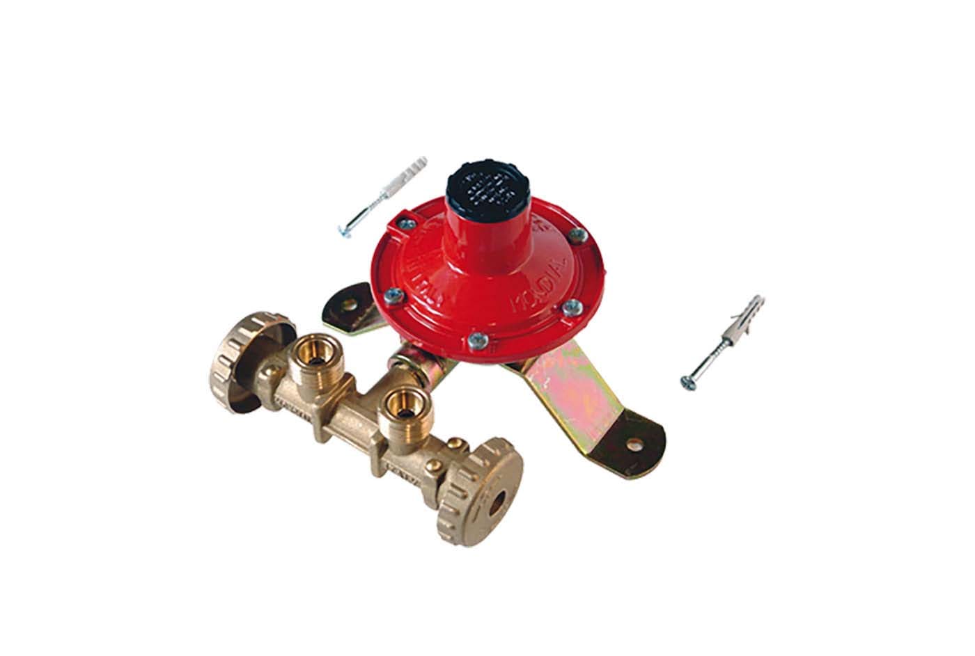 TECNOSYSTEMI SPA SOC - TNS21000450 MINICENTRALINA PER 2 BOMBOLE DA 10 KG/H