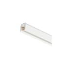 SIGNIFY ITALY SPA - PHA06540200 Sistema binario DALI, Normal, Bianco, IP30 | Protetto contro l'accesso con un utensile