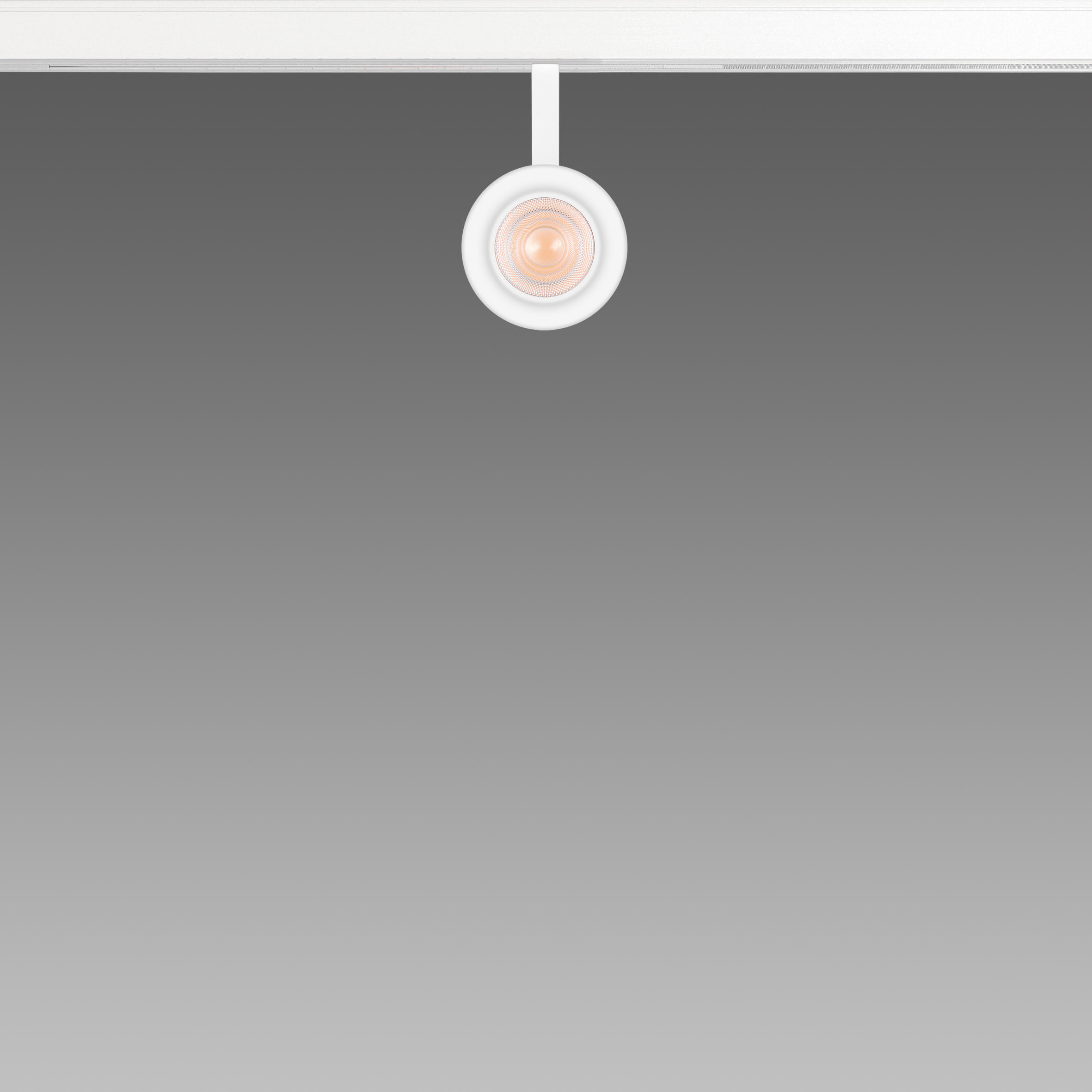 FOSNOVA - FOS2210643000 FOCUS S 50T 1064 COB 14W 3K CLD NER