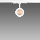 FOSNOVA - FOS2210673168 FOCUS S 70T 1067 COB 23W 4K CLD NER