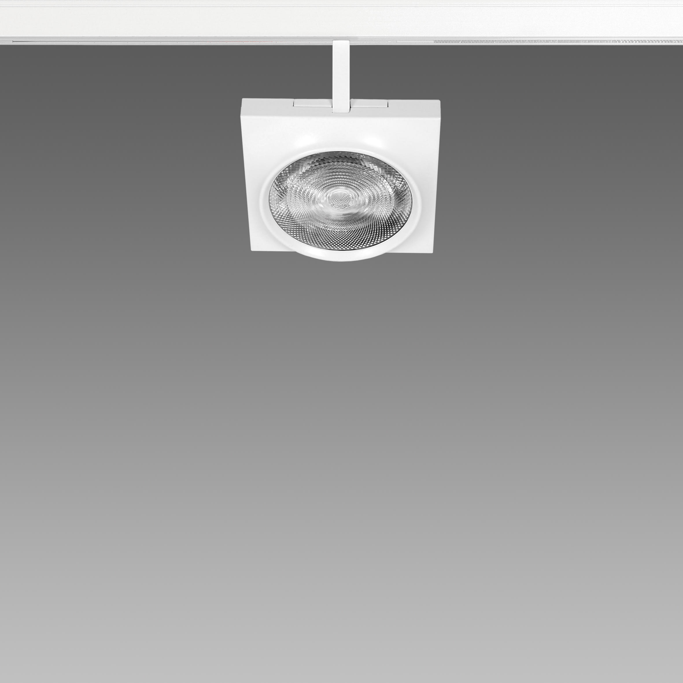 FOSNOVA - FOS2210923168 FOCUS S 111Q 1092 COB 26W 4K CLD NER