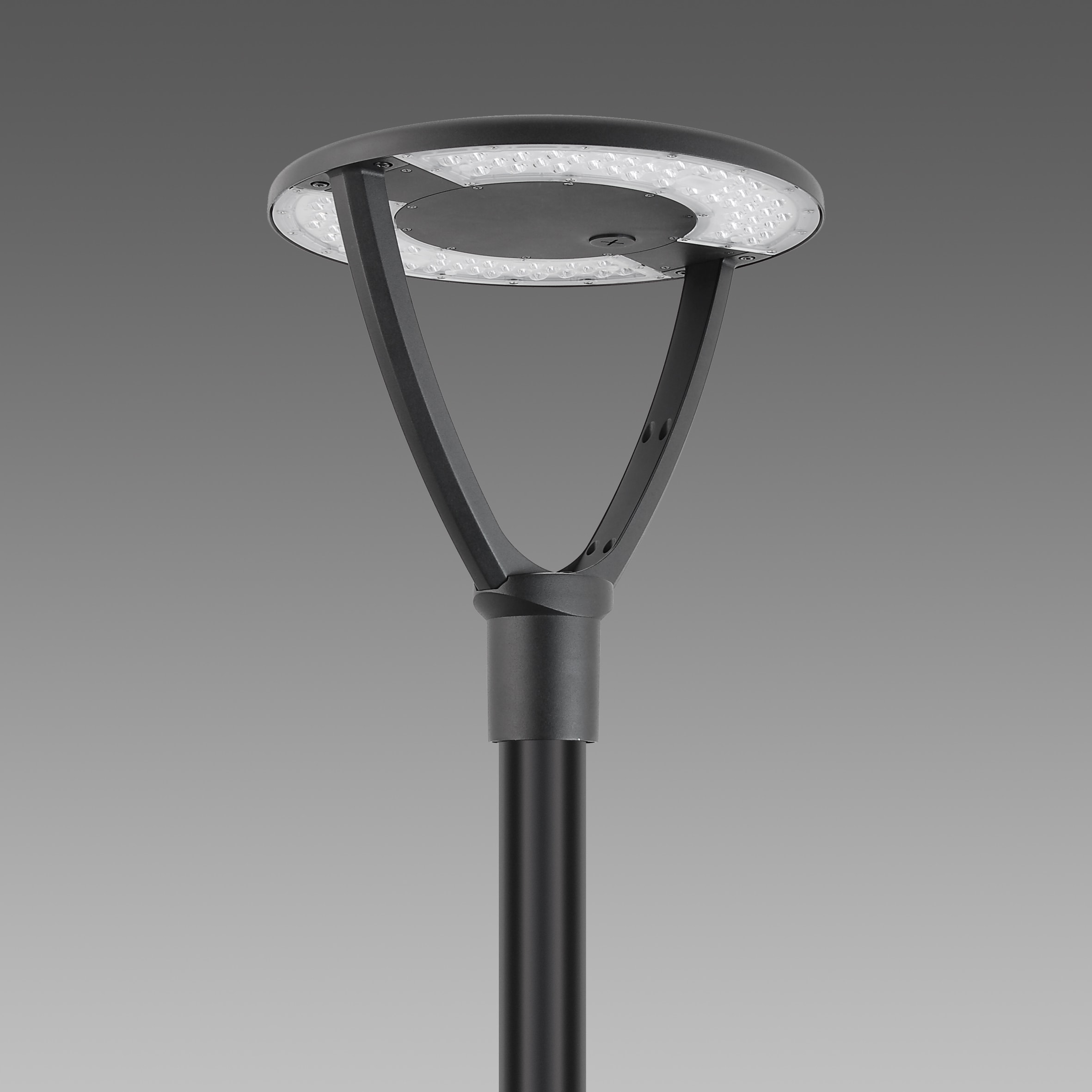 DISANO - DIS33050500 BRAIES 1589 LED 15W CLD-D NERO
