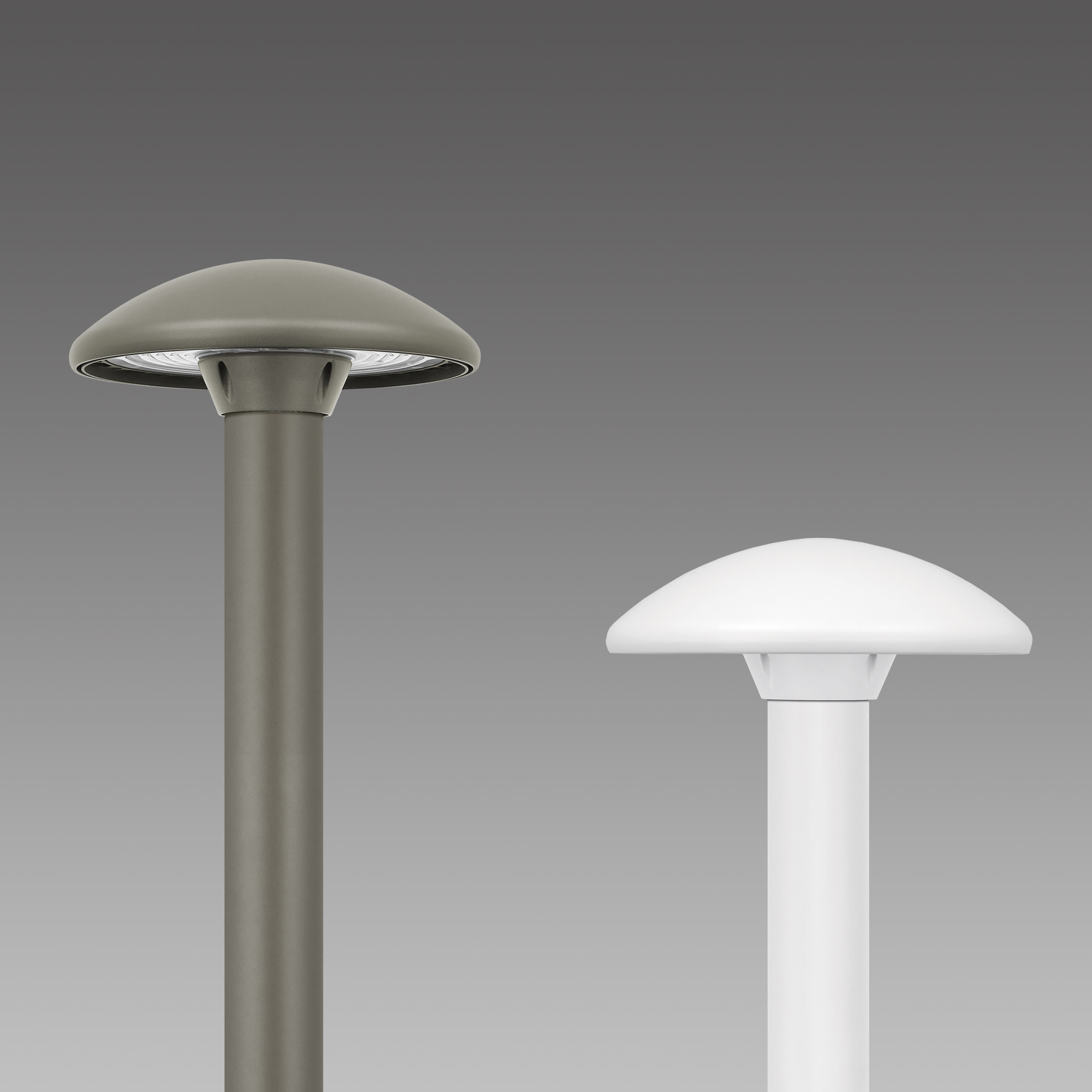 DISANO - DIS42424200 Amalfi