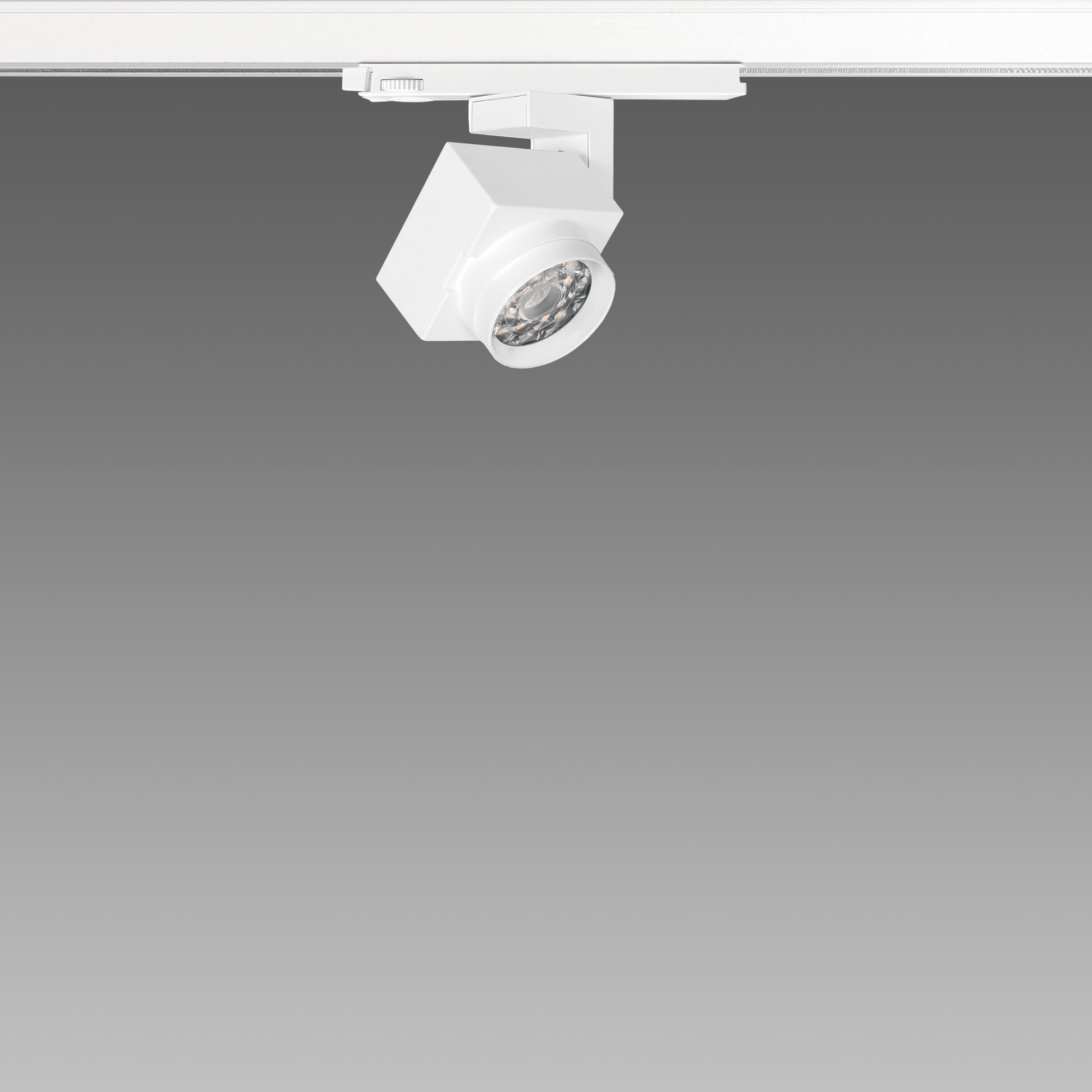 FOSNOVA - FOS2210841068 FOCUS 50Z 1084 COB 14W 4K CLD BIA