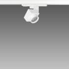 FOSNOVA - FOS2210841068 FOCUS 50Z 1084 COB 14W 4K CLD BIA