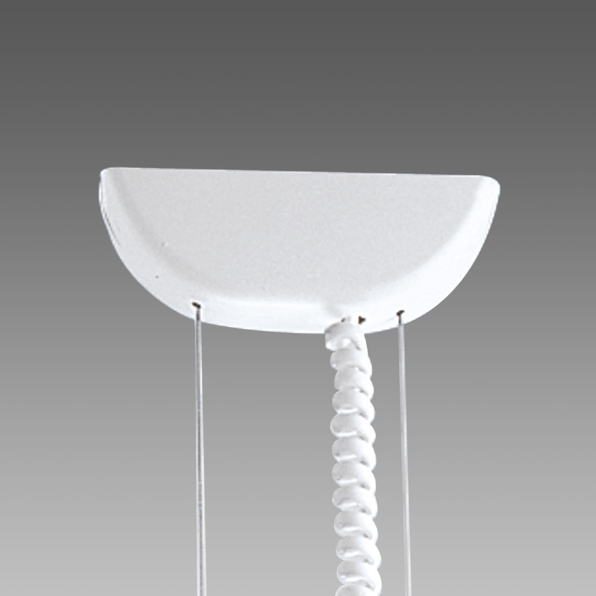 DISANO - DIS99461700 Sospensione elettrificata