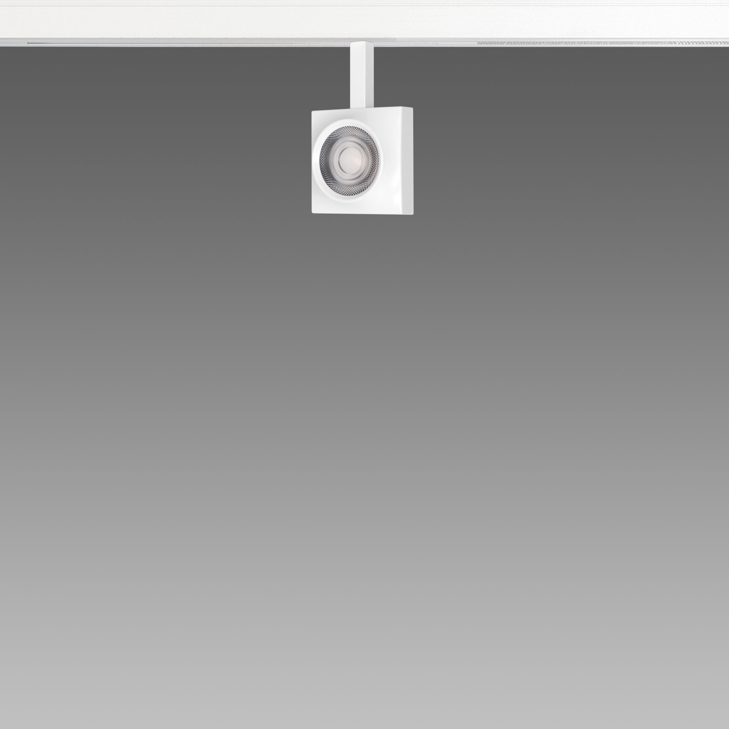 FOSNOVA - FOS2210901100 FOCUS S 50Q 1090 COB 14W 3K CLD BIA