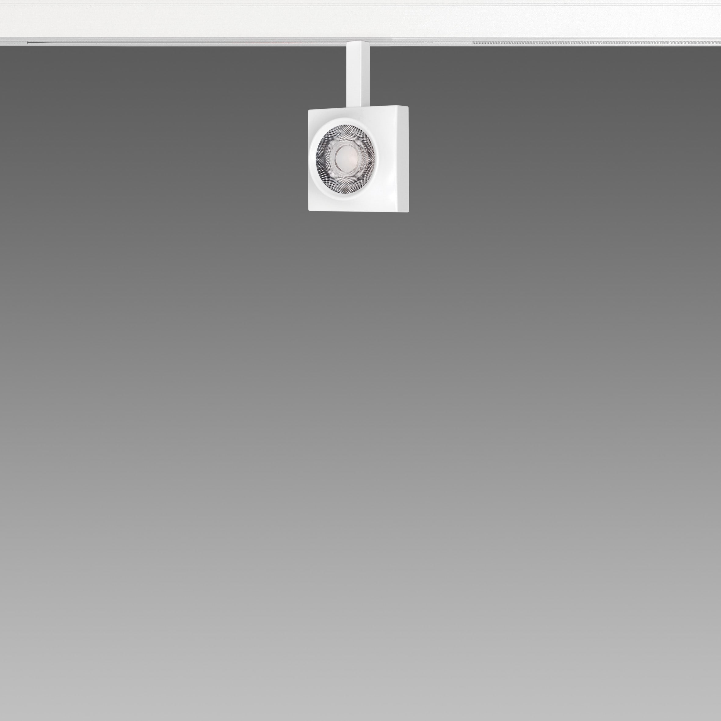 FOSNOVA - FOS2210901000 FOCUS S 50Q 1090 COB 14W 3K CLD BIA