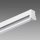 DISANO - DIS23752207 RAPID SYSTEM 6402 31W CLD-E BIA