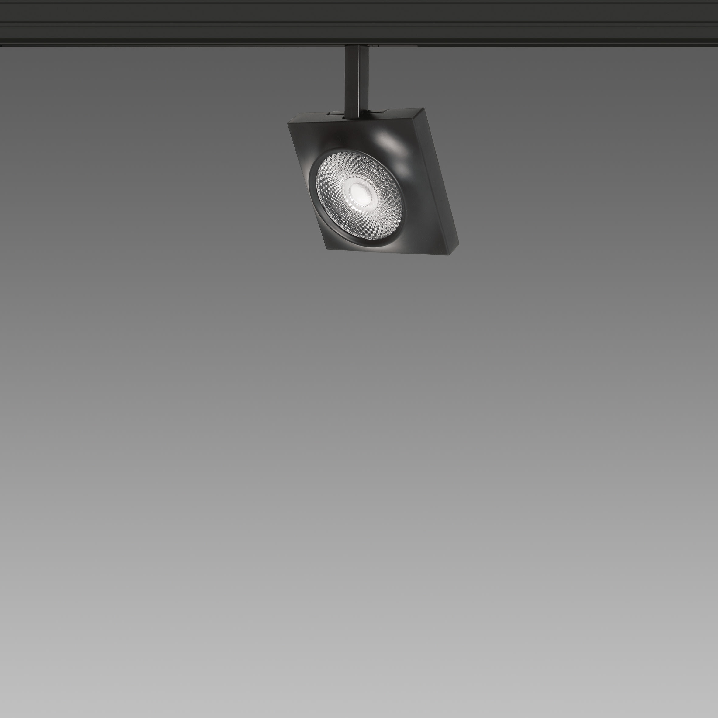 FOSNOVA - FOS2210913268 FOCUS S 70Q 1091 COB 23W 4K CLD NER