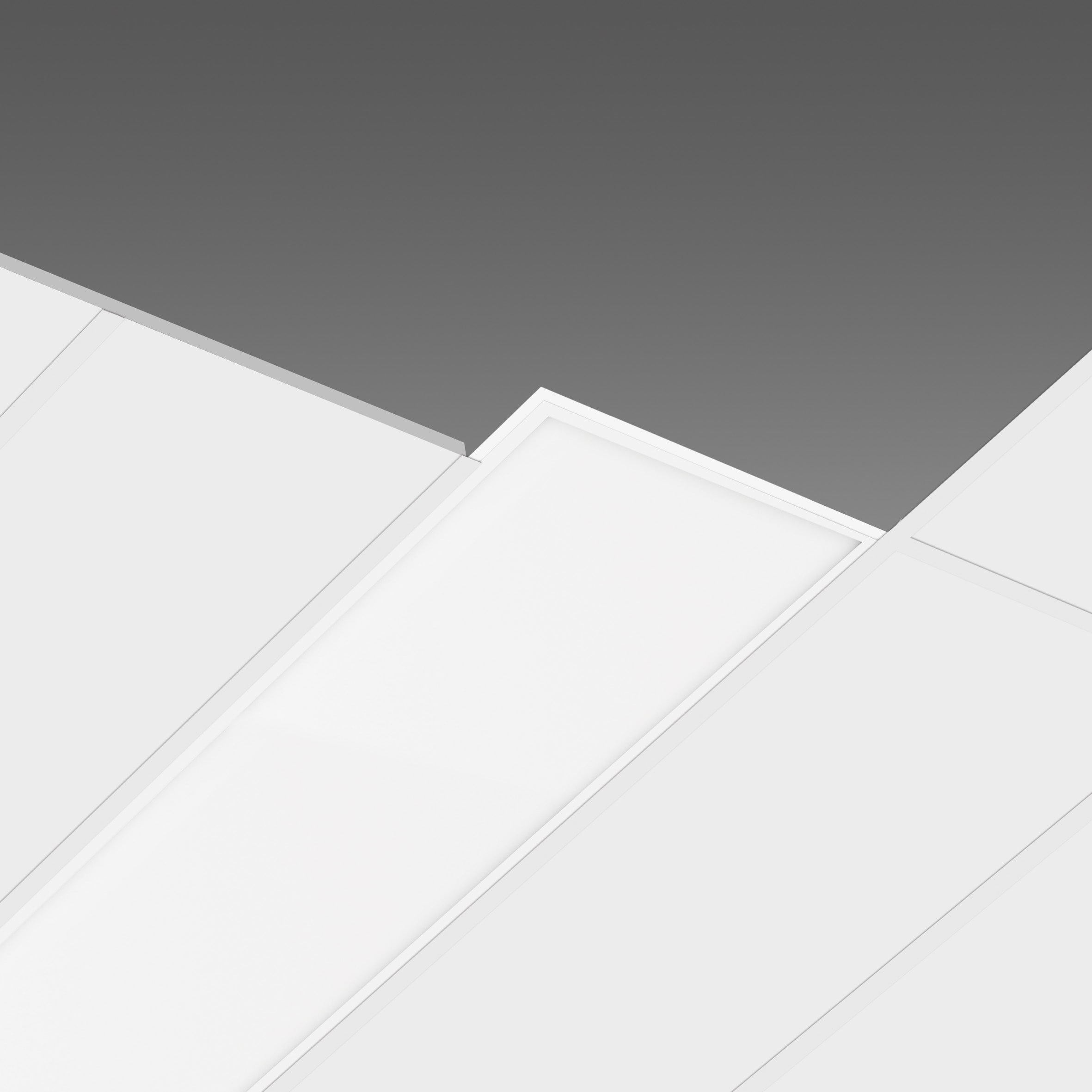 DISANO - DIS1502370041 831 LED 24W CLD-D-D BIA VL IP65,VI IP20