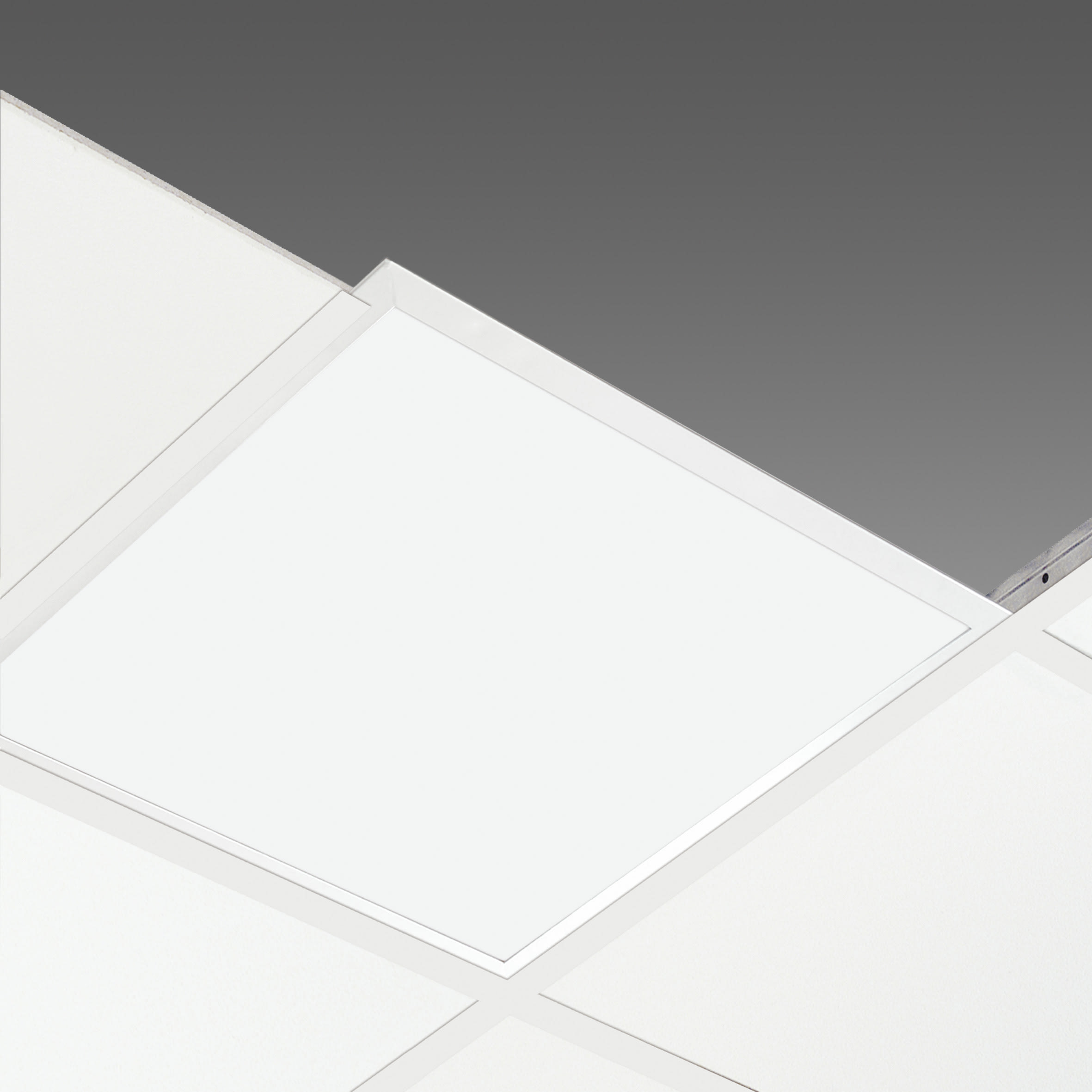 DISANO - DIS15025600 COMFORTPANEL IP65 847 24W CLD BIANCO
