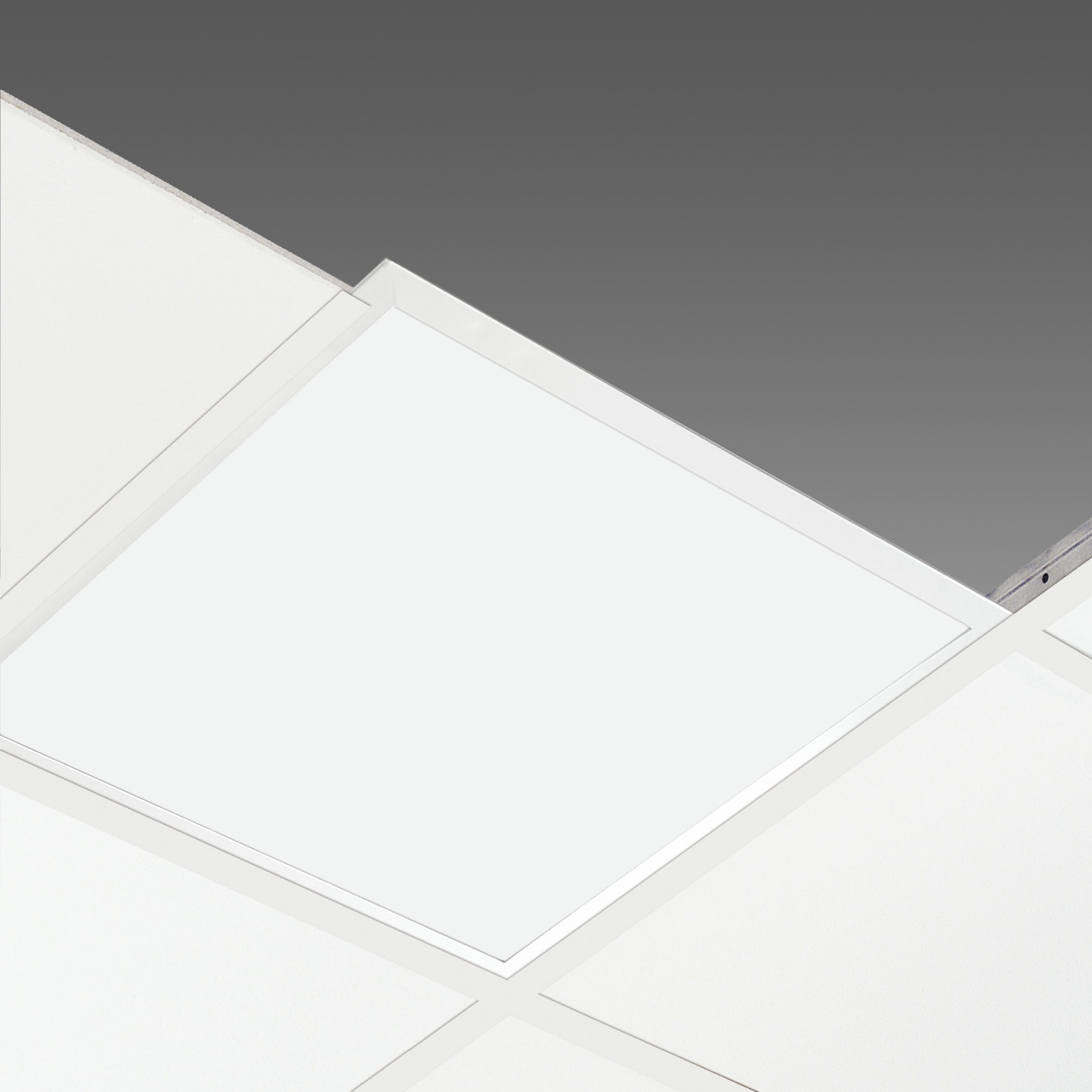 DISANO - DIS1502560041 847 24W CLD-D-D BIANCO
