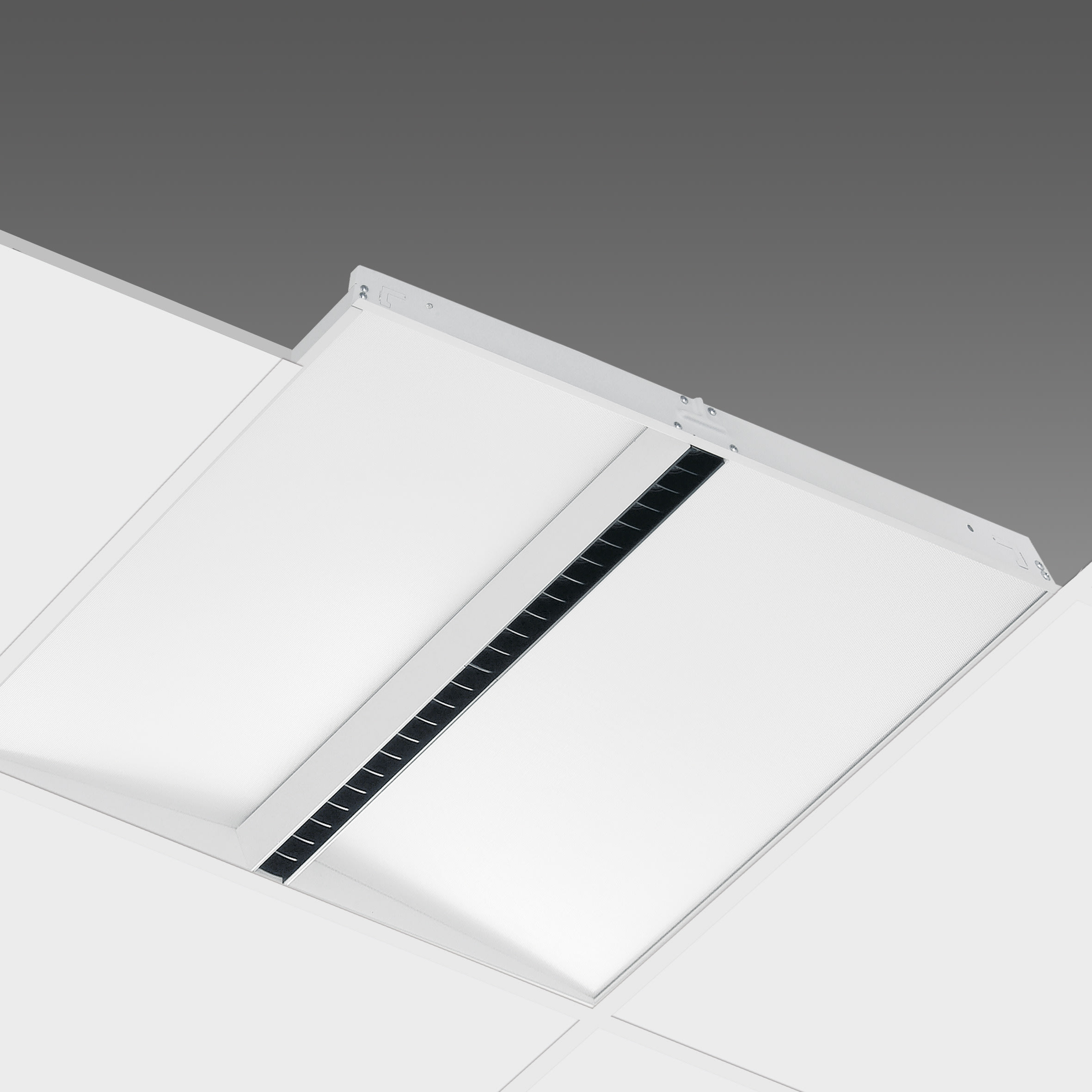 DISANO - DIS11401415 IBIS LED 916 36W CLD BIA 2ACCENS.