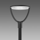 DISANO - DIS33050800 BRAIES 1589 LED 59W CLD NERO