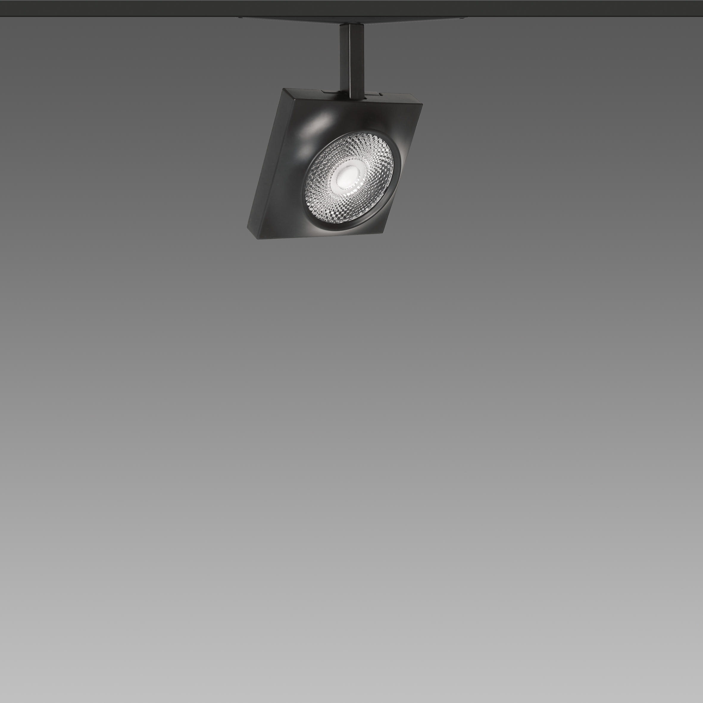 FOSNOVA - FOS221088341241 FOCUS S 70Q 1088 19W 3K CLDDD NER 48V