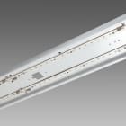 DISANO - DIS16244516 FORMA 995 LED 50W CLD PIAST.CABL.