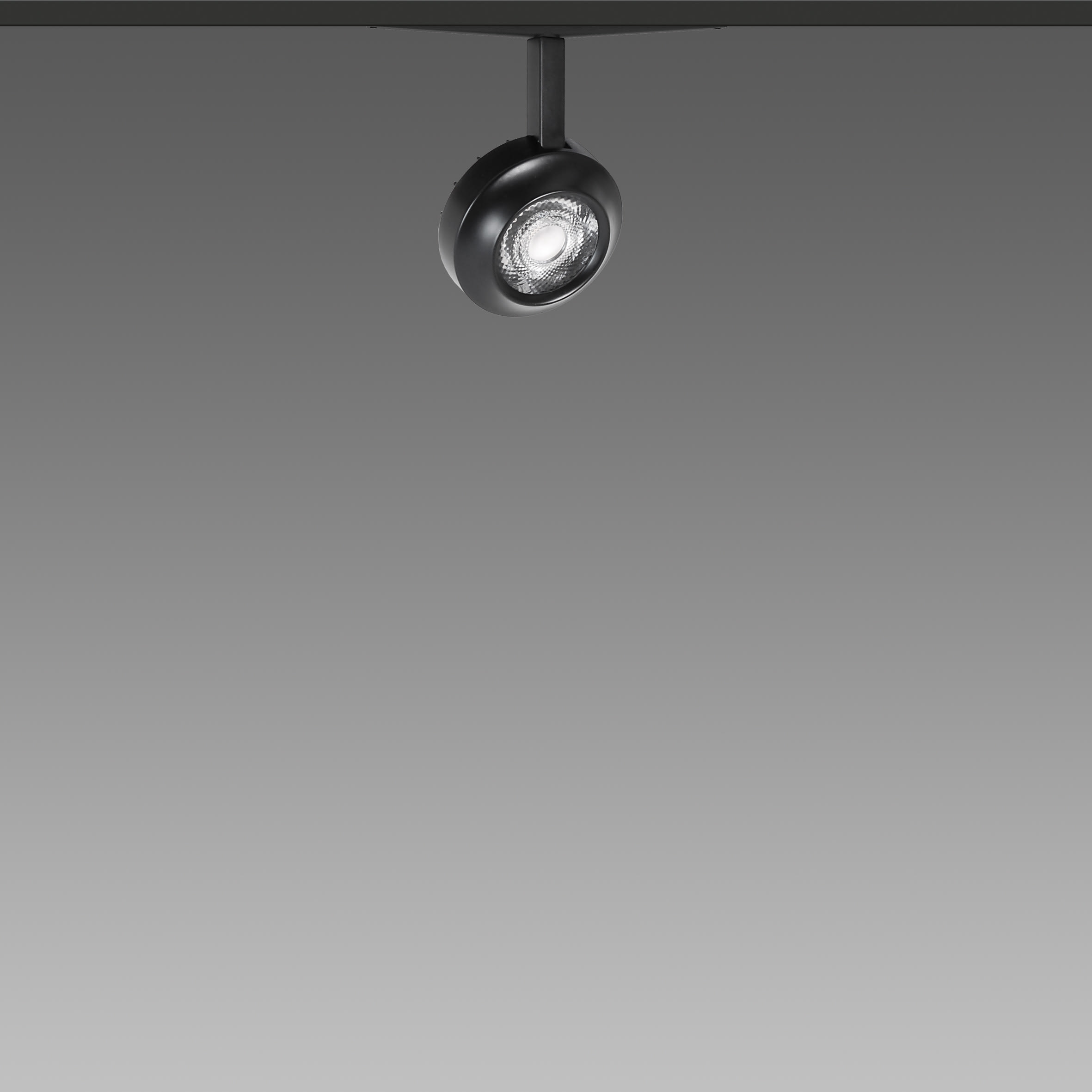 FOSNOVA - FOS221094106841 FOCUS S 50L 1094 14W 4K CLDDD BIA 48V