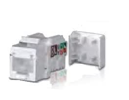 ITEM - IT260100 PRESA RJ45 U/UTP CAT. 6 BI