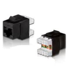 ITEM - IT250103 PRESA RJ45 U/UTP 180 CAT. 5E NE