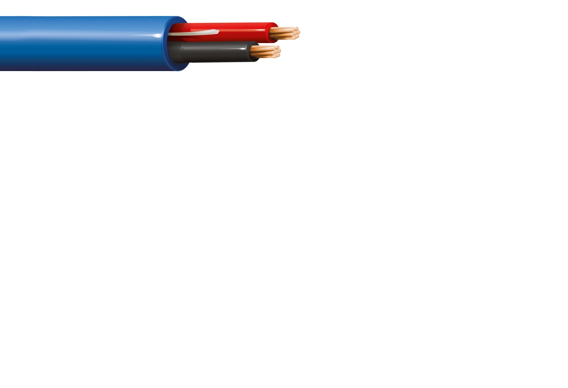 ITC INDUSTRIA TECNIC - ITCCA-25BLM100 AUTOM.CANCELLI 2 X 0,50 PVC BLU M.100 EC