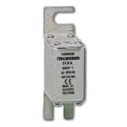 ITALWEBER SPA - ITW1558063 FUS NH00 TN/80 GR 63A 690V