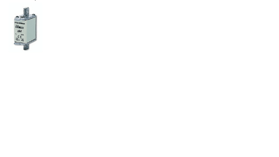 ITALWEBER SPA - ITW1600835 FUS NH00 KTF AM MK 35A 690V