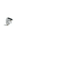 ITALWEBER SPA - ITW1750007 MICRO 170H0235 250V 2A