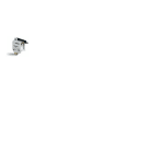 ITALWEBER SPA - ITW1769950 FUS NH3 ULTRA AR 1100A 690V
