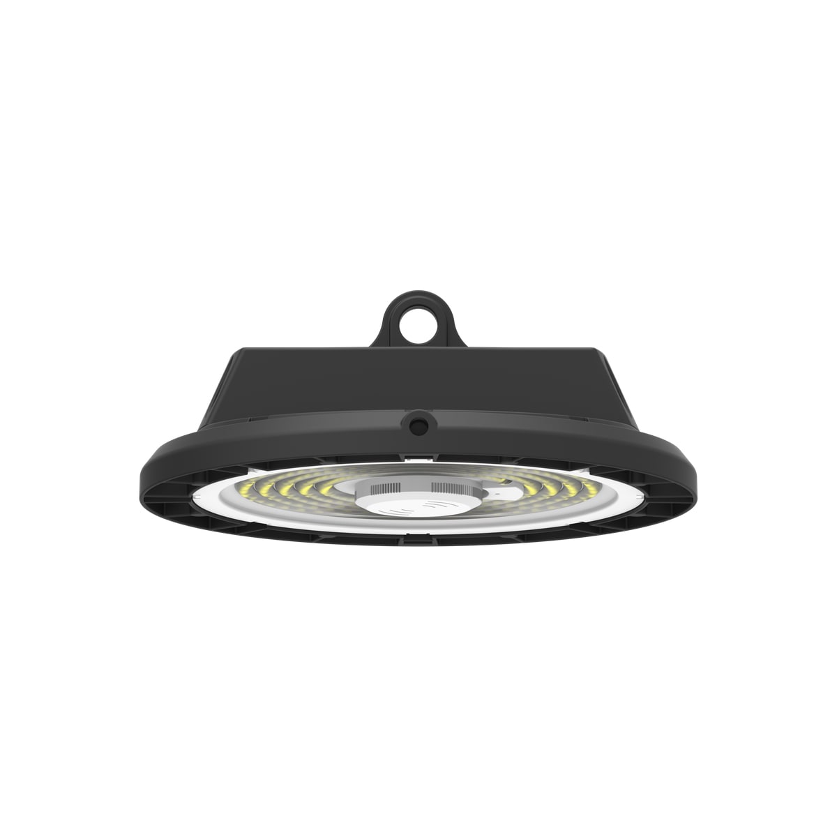 PERFORMANCE IN LIGHT - PRI3124701 A+ 100 C/EW 857 BK-RAL9005 0-10