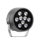 PERFORMANCE IN LIGHT - PRI3107300 TYK+ 20 31 C/I 927 AN96