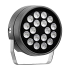 PERFORMANCE IN LIGHT - PRI3107366 TYK+ 30 81 C/IW 927 AN96