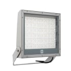 PERFORMANCE IN LIGHT - PRI3118166 WIN PRO 40 575 A55/M 730 GR94
