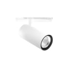 PERFORMANCE IN LIGHT - PRI3117288 XEPI90 41 C/M40 930 WH87