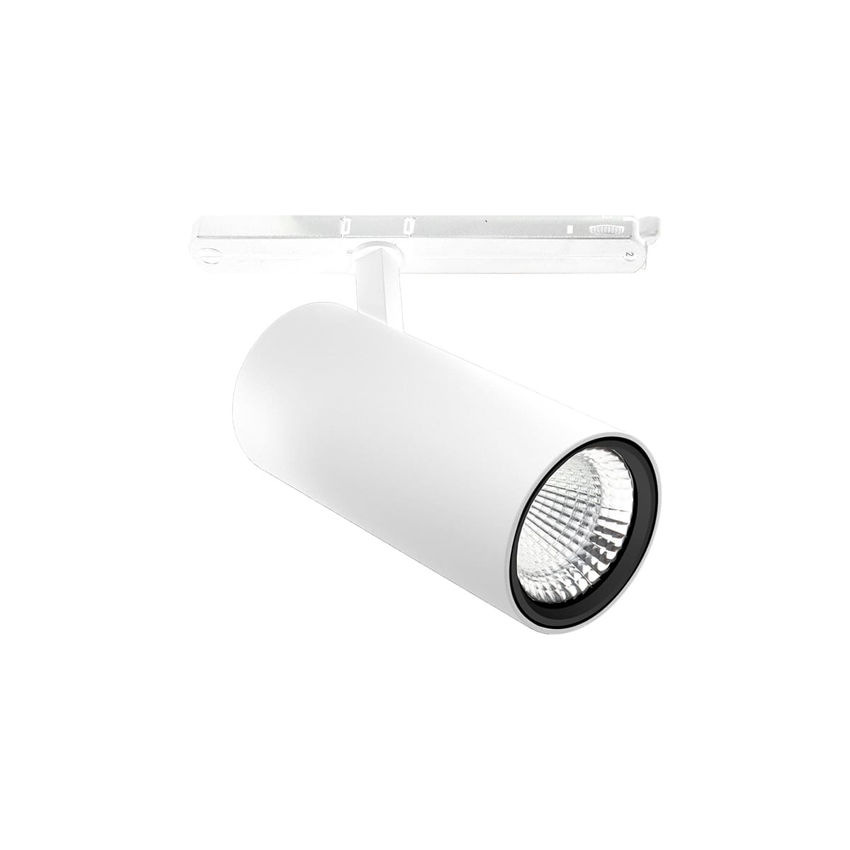 PERFORMANCE IN LIGHT - PRI3117278 XEPI90 31 C/I 930 WH87