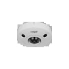 DAHUA TECHNOLOGY - DUHM-0016239 IPC-EBW8842-AS-IVC: TELECAMERA DOME FISH
